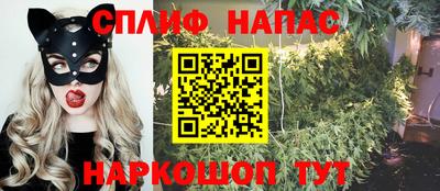 дмт Будённовск