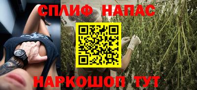 дмт Будённовск