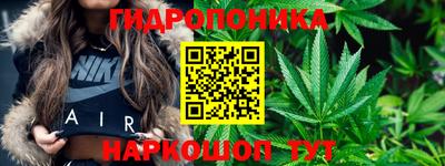 дмт Будённовск